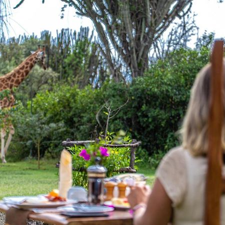 Mbweha Camp Lake Nakuru Elmenteita Eksteriør bilde