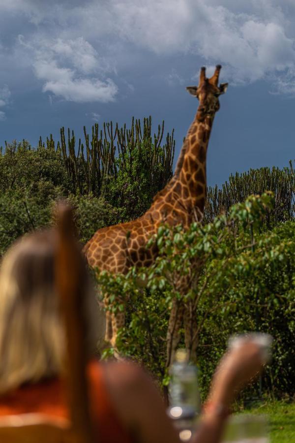 Mbweha Camp Lake Nakuru Elmenteita Eksteriør bilde