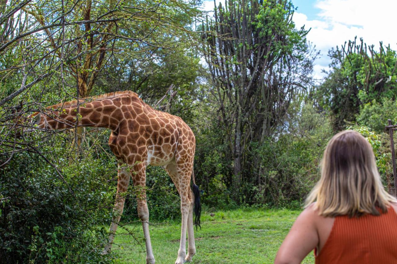 Mbweha Camp Lake Nakuru Elmenteita Eksteriør bilde