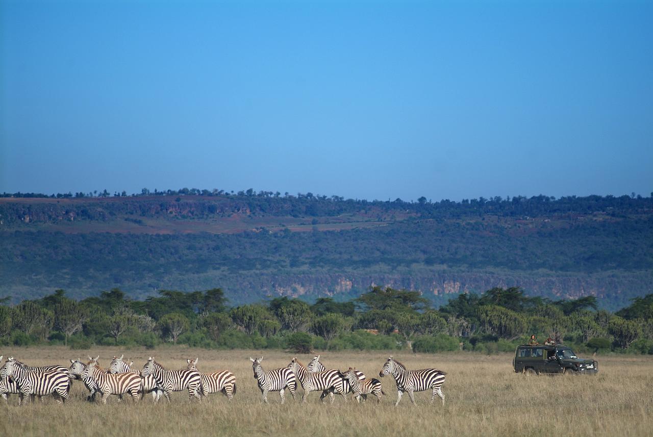 Mbweha Camp Lake Nakuru Elmenteita Eksteriør bilde