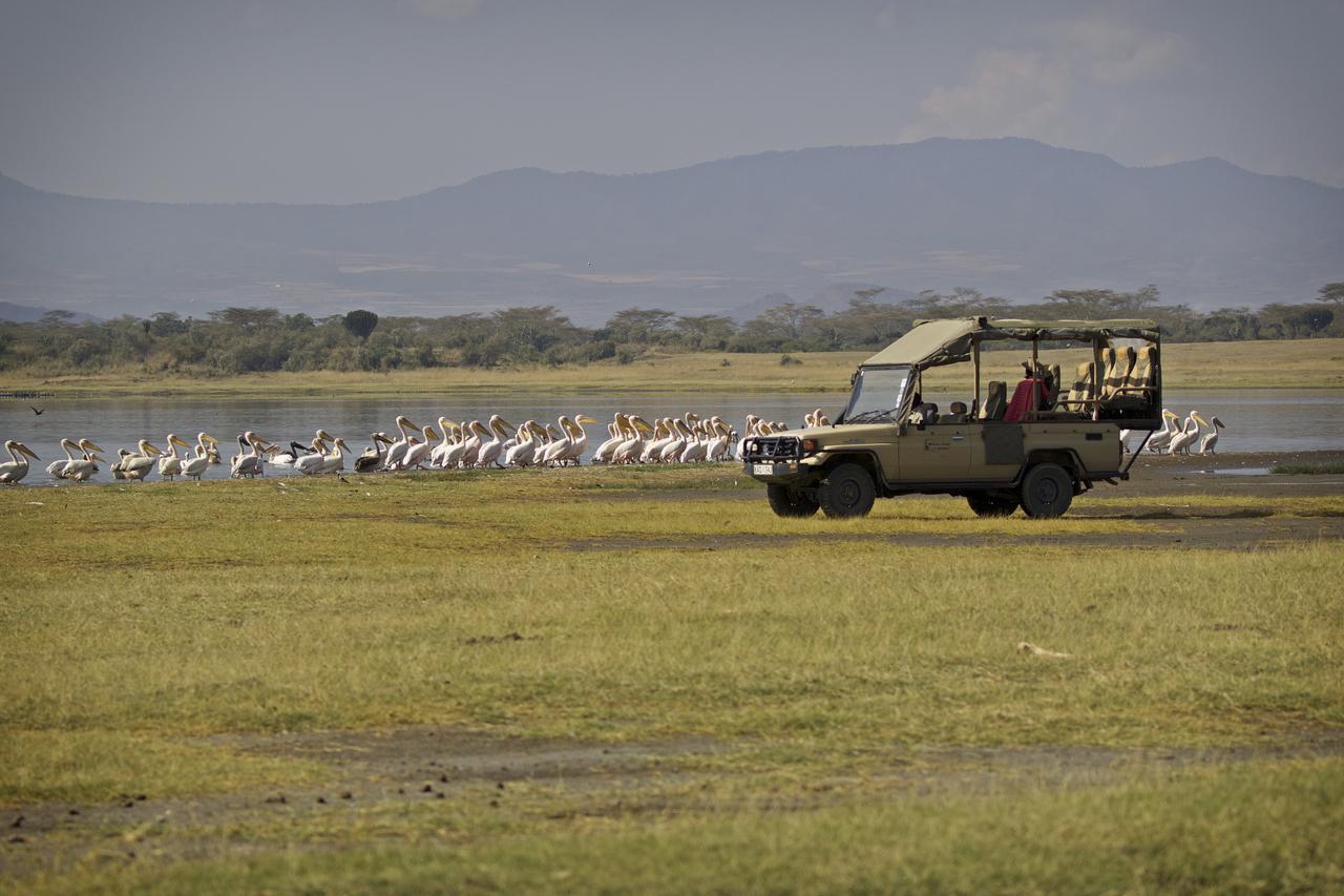 Mbweha Camp Lake Nakuru Elmenteita Eksteriør bilde