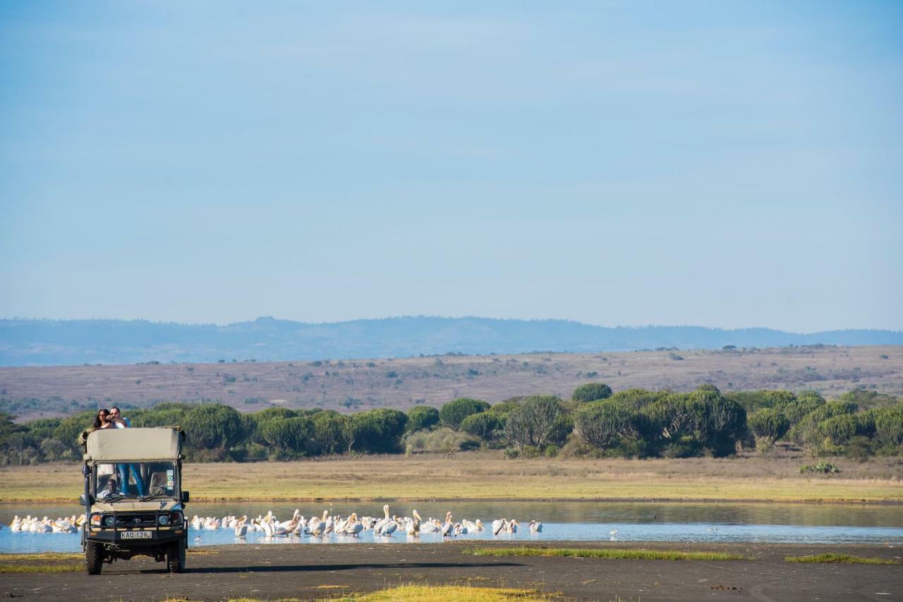 Mbweha Camp Lake Nakuru Elmenteita Eksteriør bilde